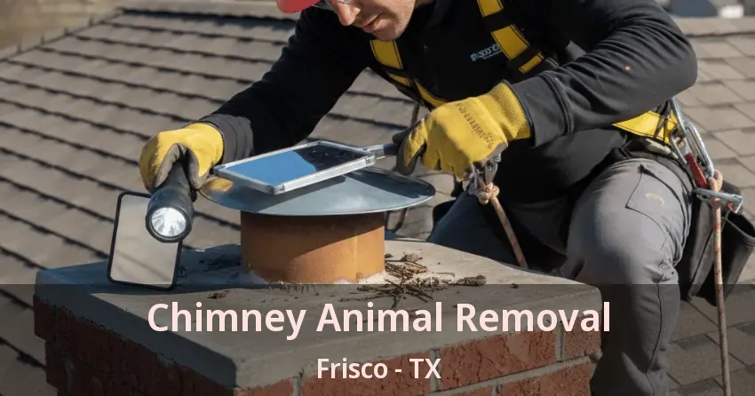Chimney Animal Removal Frisco - TX