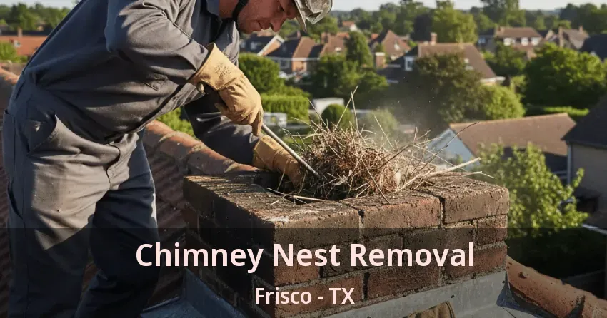 Chimney Nest Removal Frisco - TX