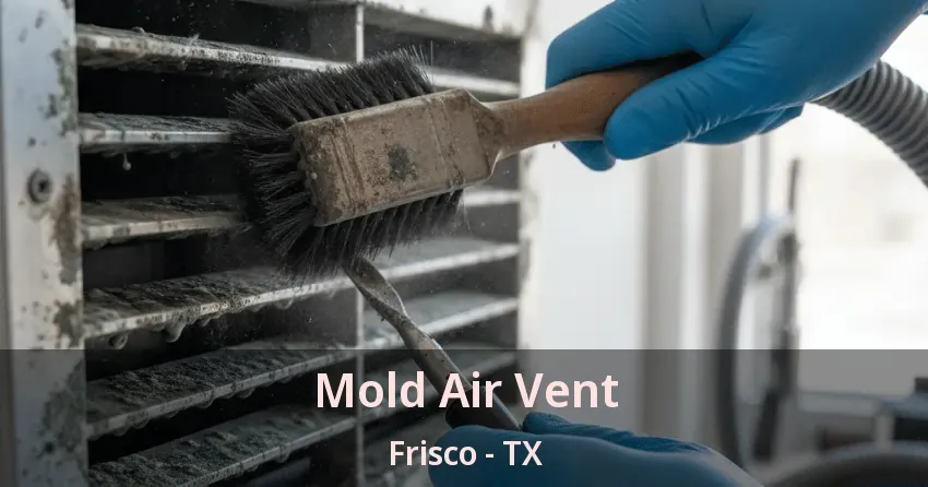 Mold Air Vent Frisco - TX