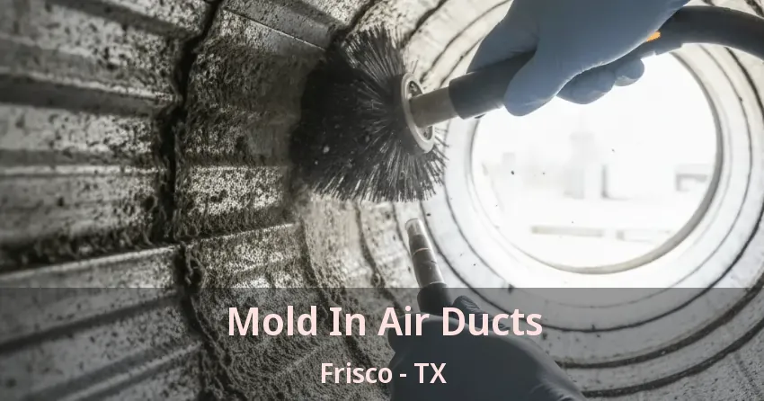 Mold In Air Ducts Frisco - TX