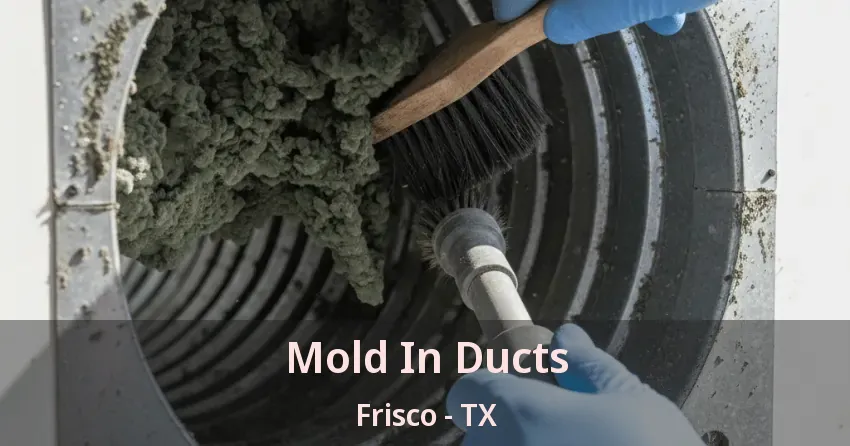 Mold In Ducts Frisco - TX