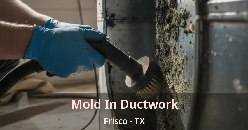 Mold In Ductwork Frisco - TX