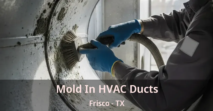 Mold In HVAC Ducts Frisco - TX