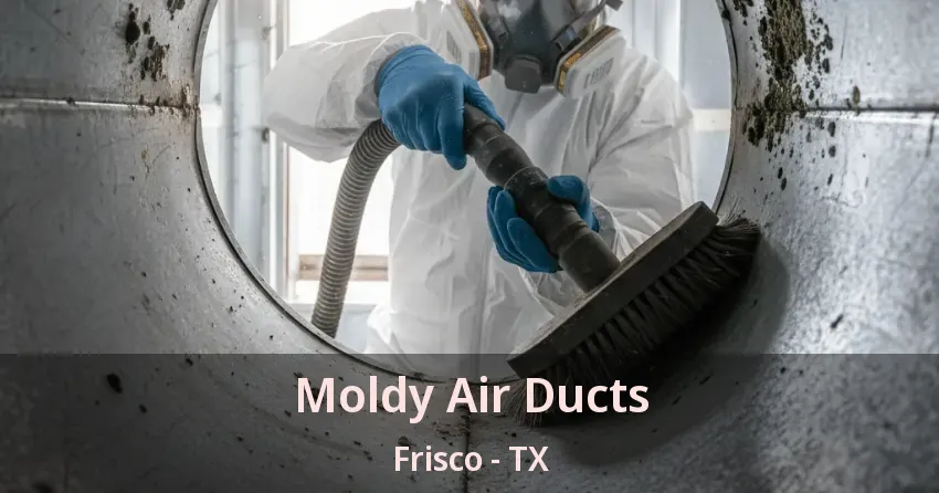 Moldy Air Ducts Frisco - TX